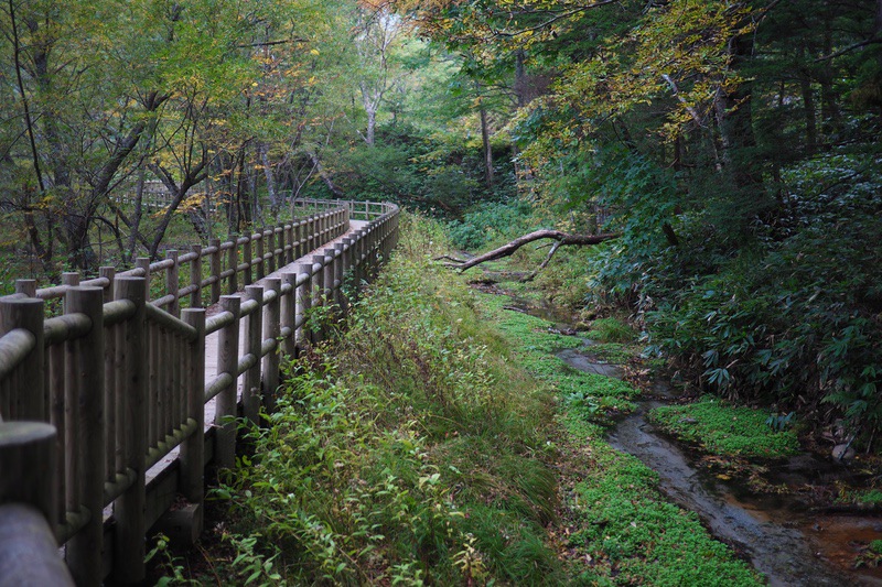 上高地：大正池〜河童橋 – 偲フ花