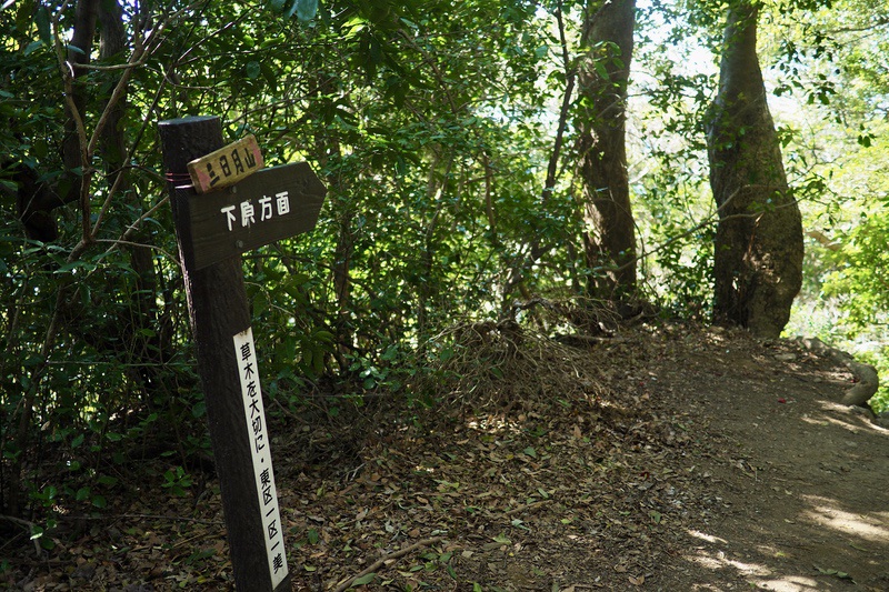 三日月山：常世ニ降ル花 龍宮ノ末裔 安曇番外編02 – 偲フ花